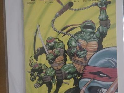 Comic Book Lot Superman Radio Shack Promo Transformers War Within Gargoyles TMNT