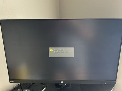 HP 24" Monitor
