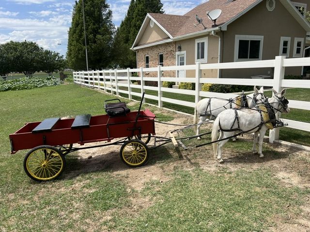 Mini Mule Team Setup