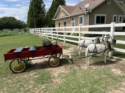 Mini Mule Team Setup