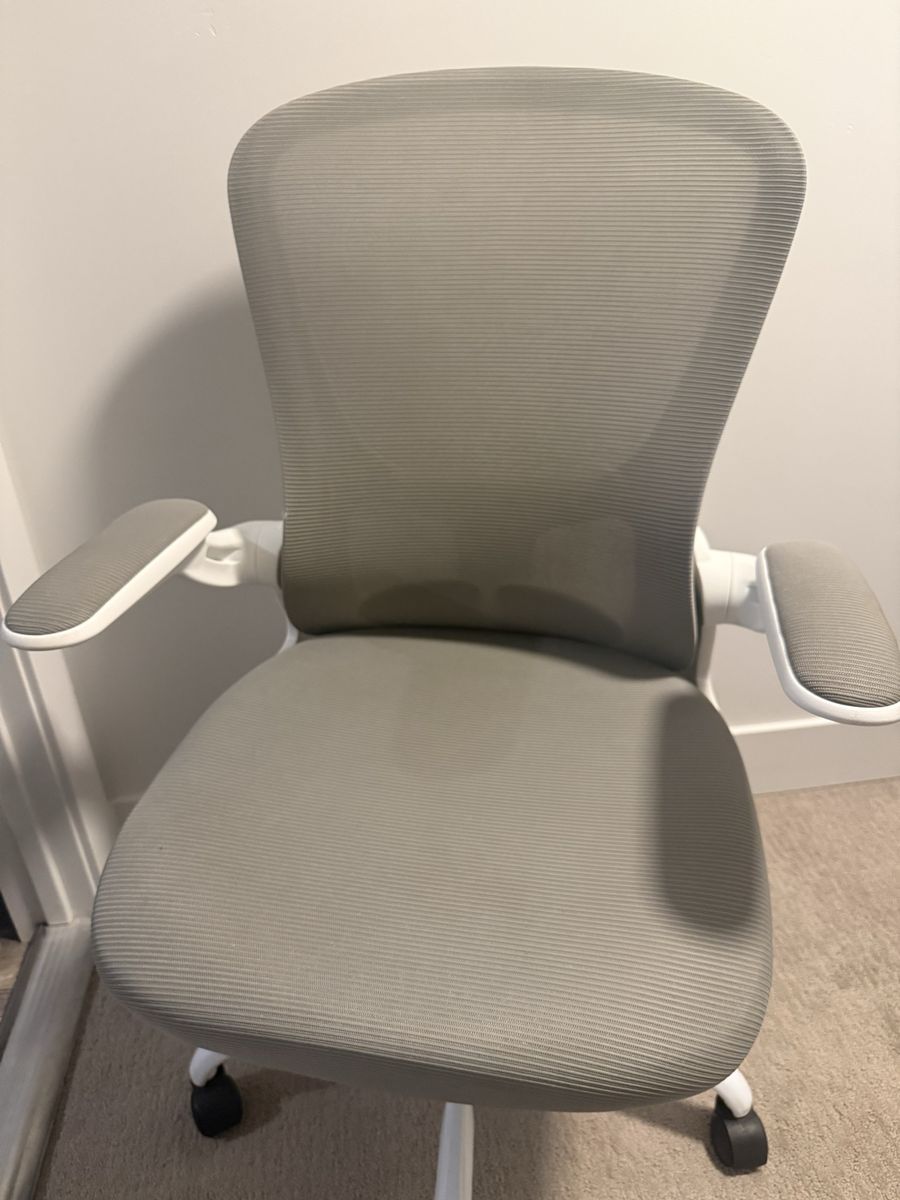 Ergonomic Office Chair - Fog Gray with White Frame