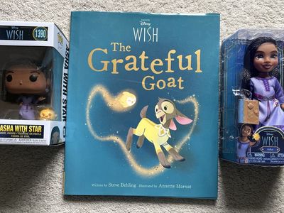 Disney Wish Doll POP! Book