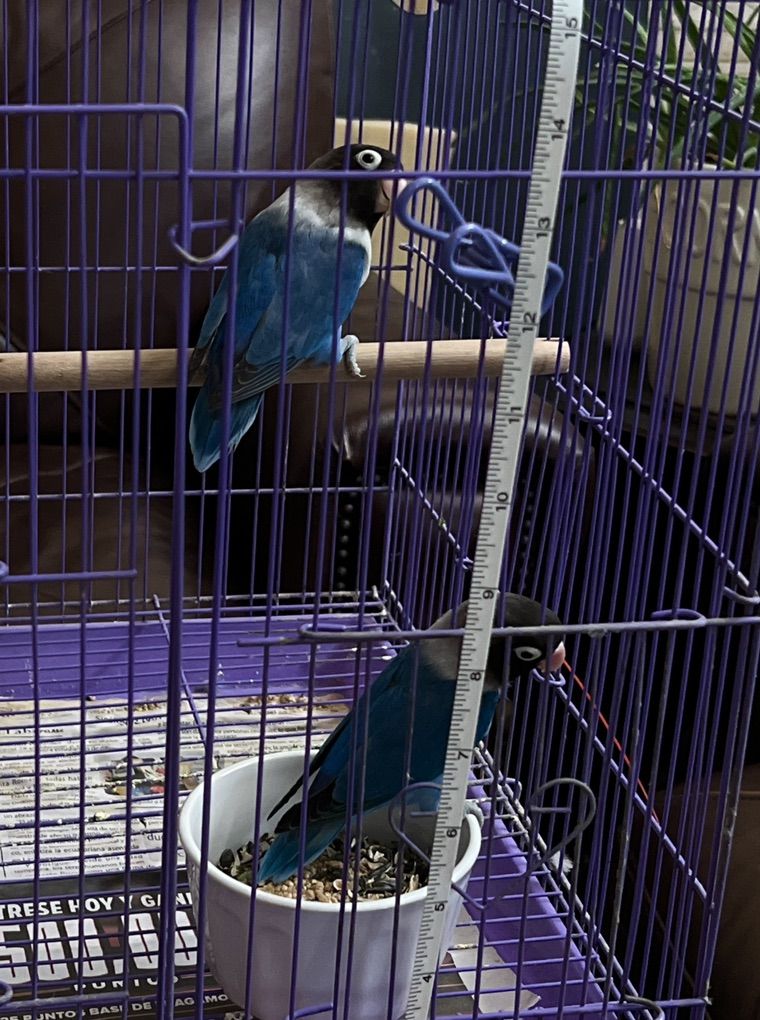 Main image 3