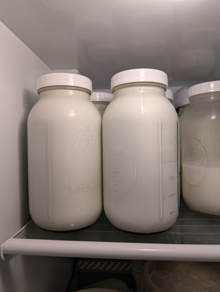 Goat Milk