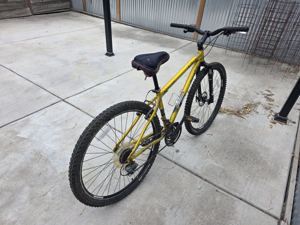 Thruster Big 9-Z 29 Inch Yellow Mountain Bike