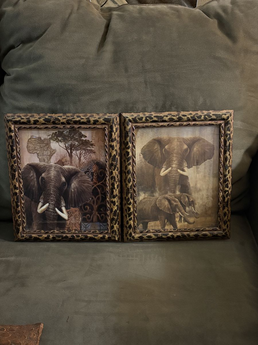2 Elephant Pictures In Frames