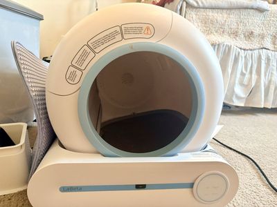 LaBeta self-cleaning automatic cat litter box featuring a spherical design and app control.