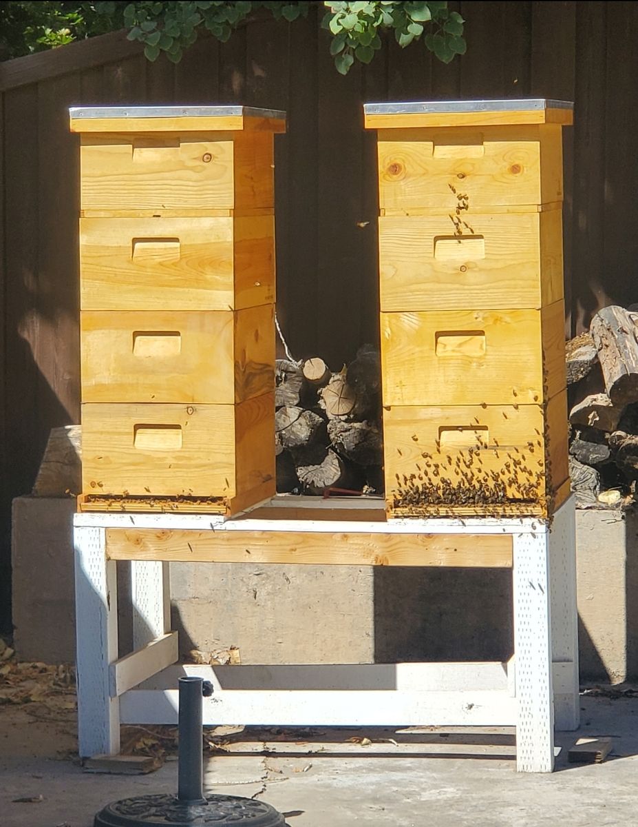 Bee colonies for sale complete with bees, hives, laying queen, brood, etc. Bee equipment for sale also