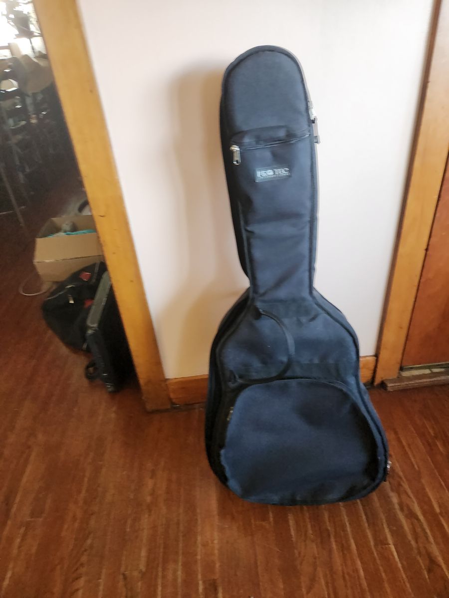 Pro-Tec Soft Guitar Bag, for a full size guitar.  Has straps and pockets.  All zippers work great.