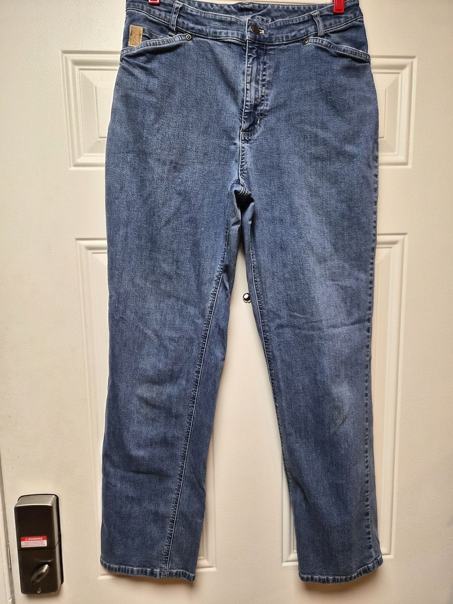 J.Jill Out of the Blue Jeans 8