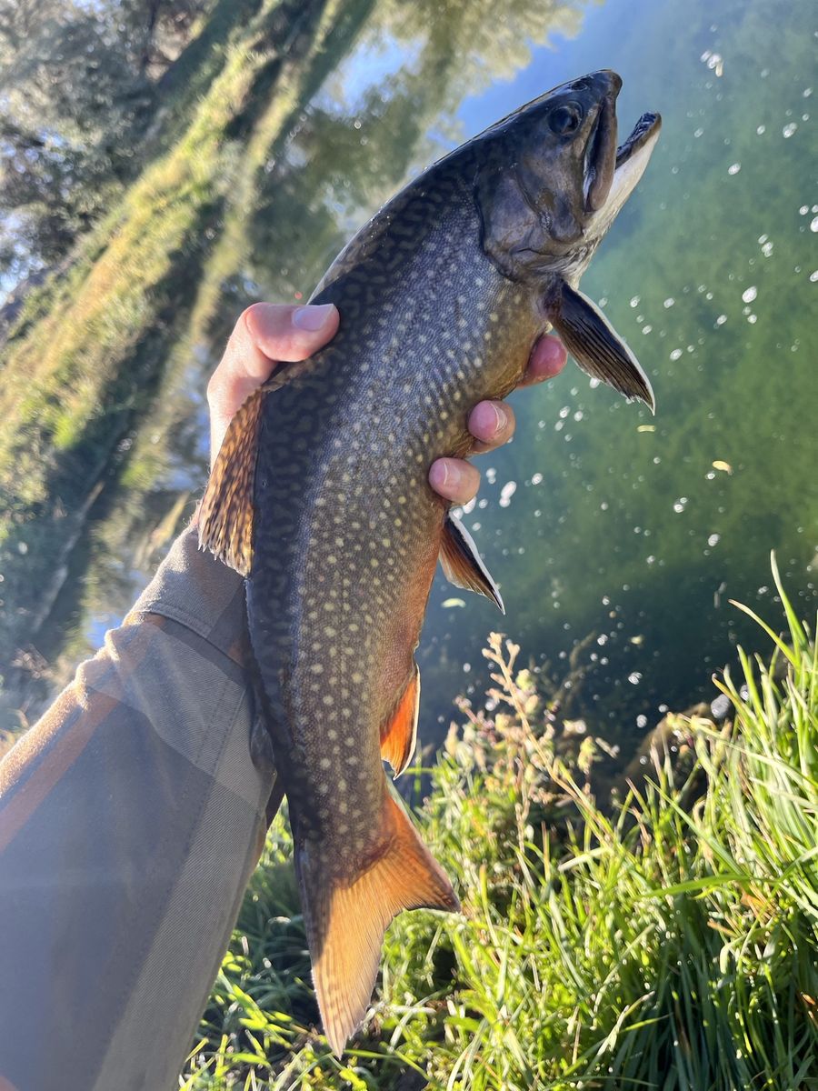 Private ranch fly fishing