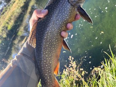 Private ranch fly fishing