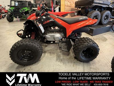 2026 CAN-AM DS 250