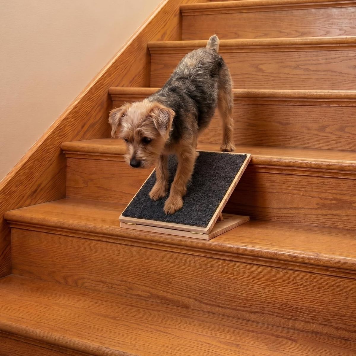 NEW 1 Packs Dog Ramp for Stairs Adjustable 5.5 to 7.48" Height Foldable Wooden with Non-Slip Carpet (11.81 Inches/ 30 cm)