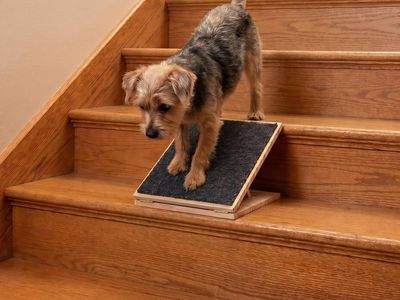 NEW 1 Packs Dog Ramp for Stairs Adjustable 5.5 to 7.48" Height Foldable Wooden with Non-Slip Carpet (11.81 Inches/ 30 cm)