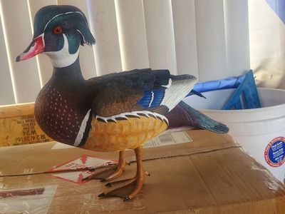 New ducks unlimited statues