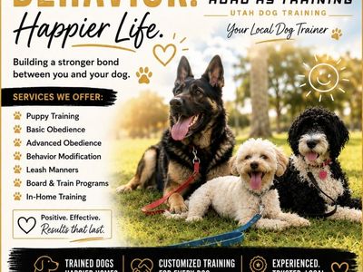 Utah Dog Training