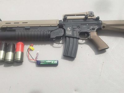 m16 aeg