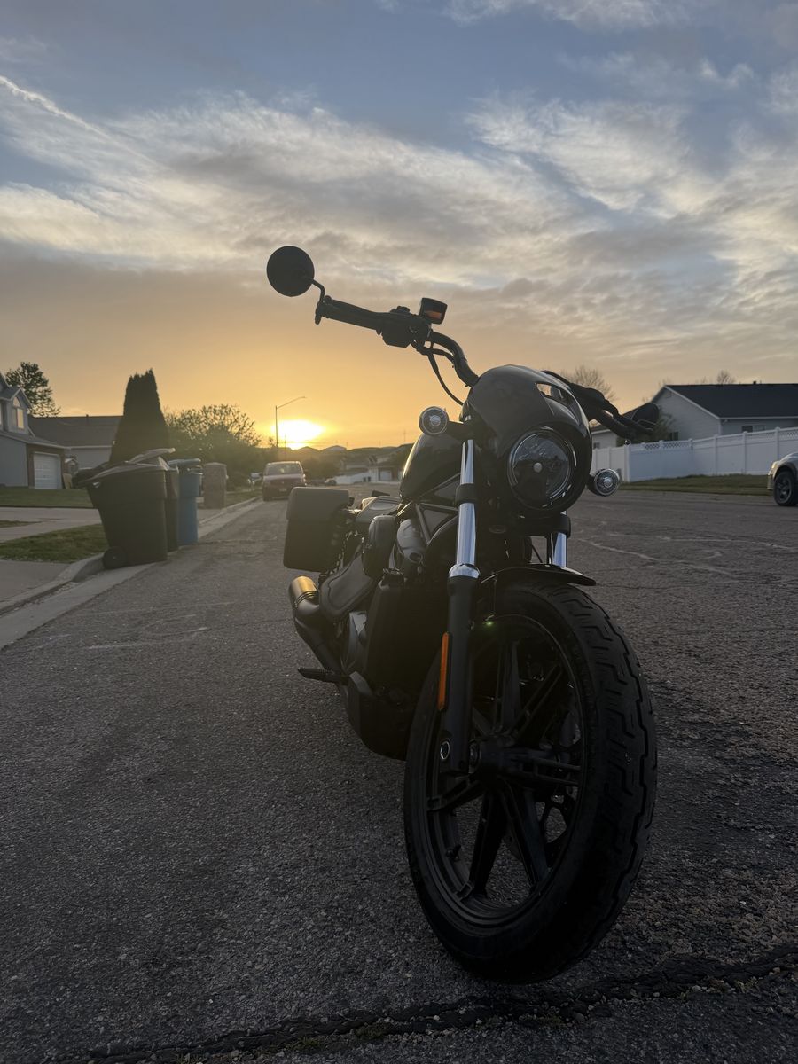 2022 Harley Davidson Nightster