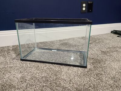 5 Gallon Tank