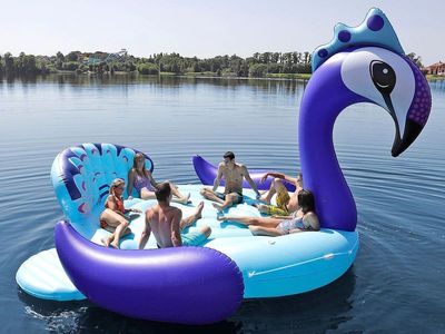 Giant Inflatable Peacock Float