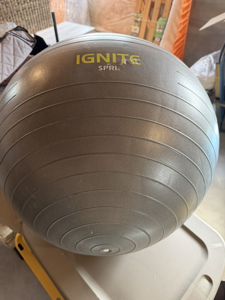 Weighted Exercise Ball