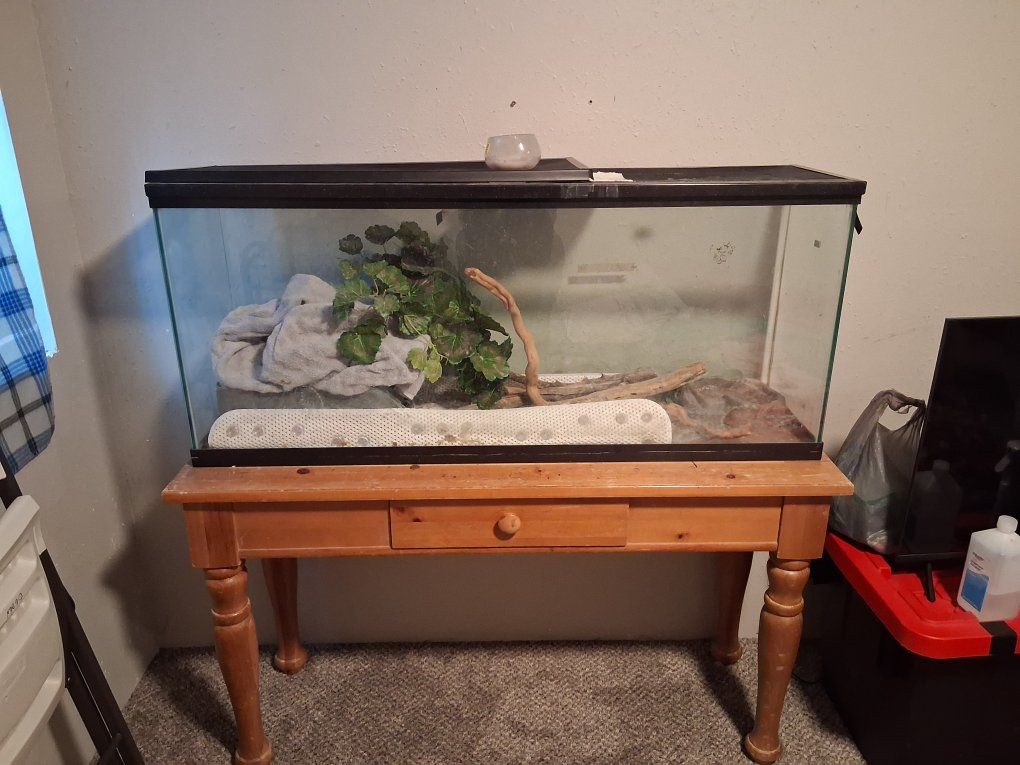 aquarium  with stand