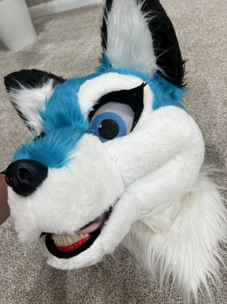 Blue Husky Costume Furry/Mascot full suit