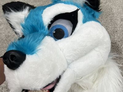 Blue Husky Costume Furry/Mascot full suit