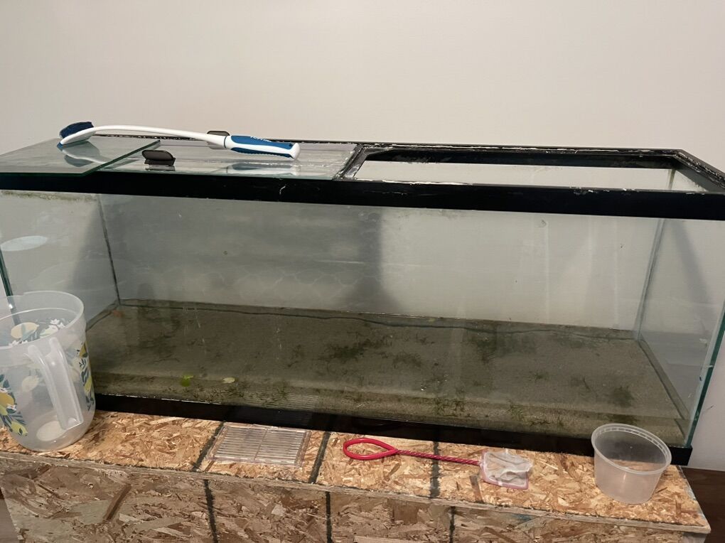 75g Tank Setup