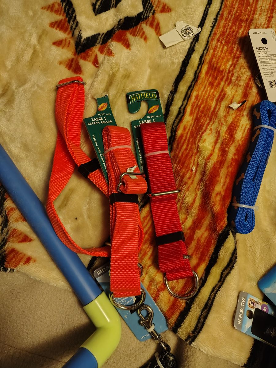 Collars leashes clothes
