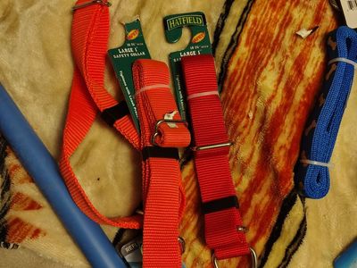 Collars leashes clothes