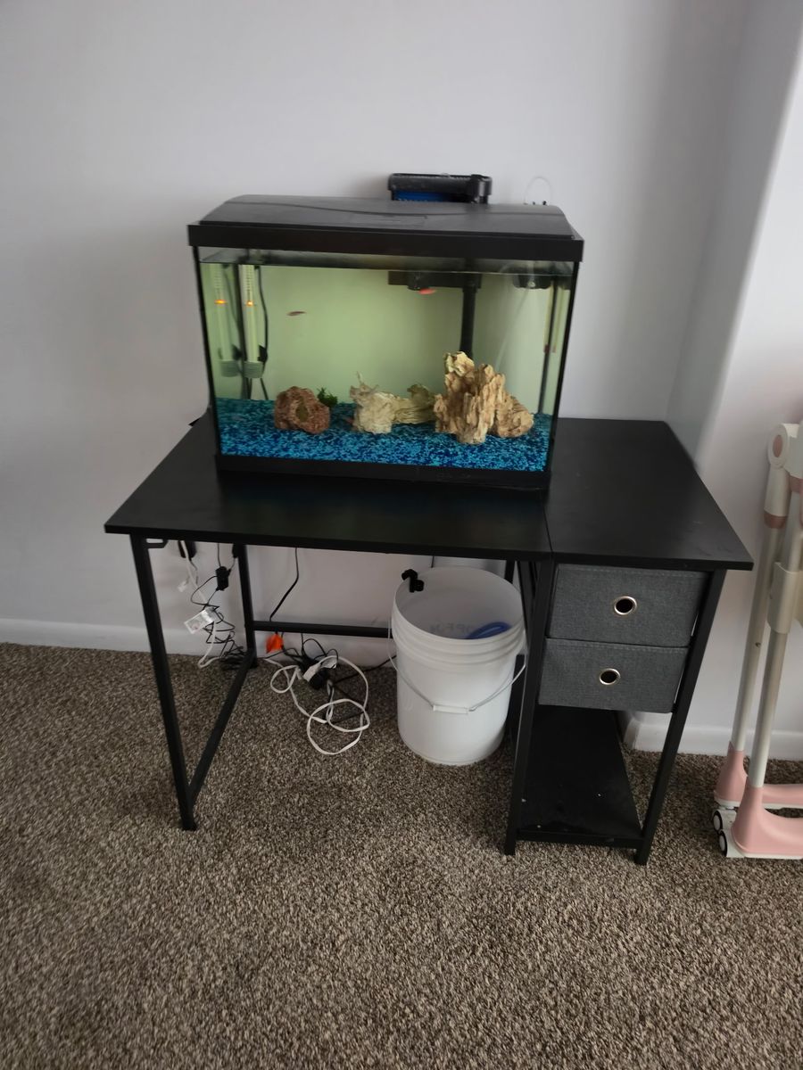 Glass Fish Tank Aquarium Setup with Lid, Filter, Accessories, and Stand Desk