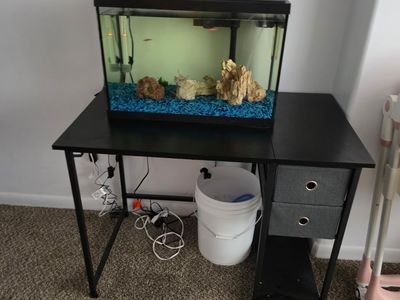 Glass Fish Tank Aquarium Setup with Lid, Filter, Accessories, and Stand Desk