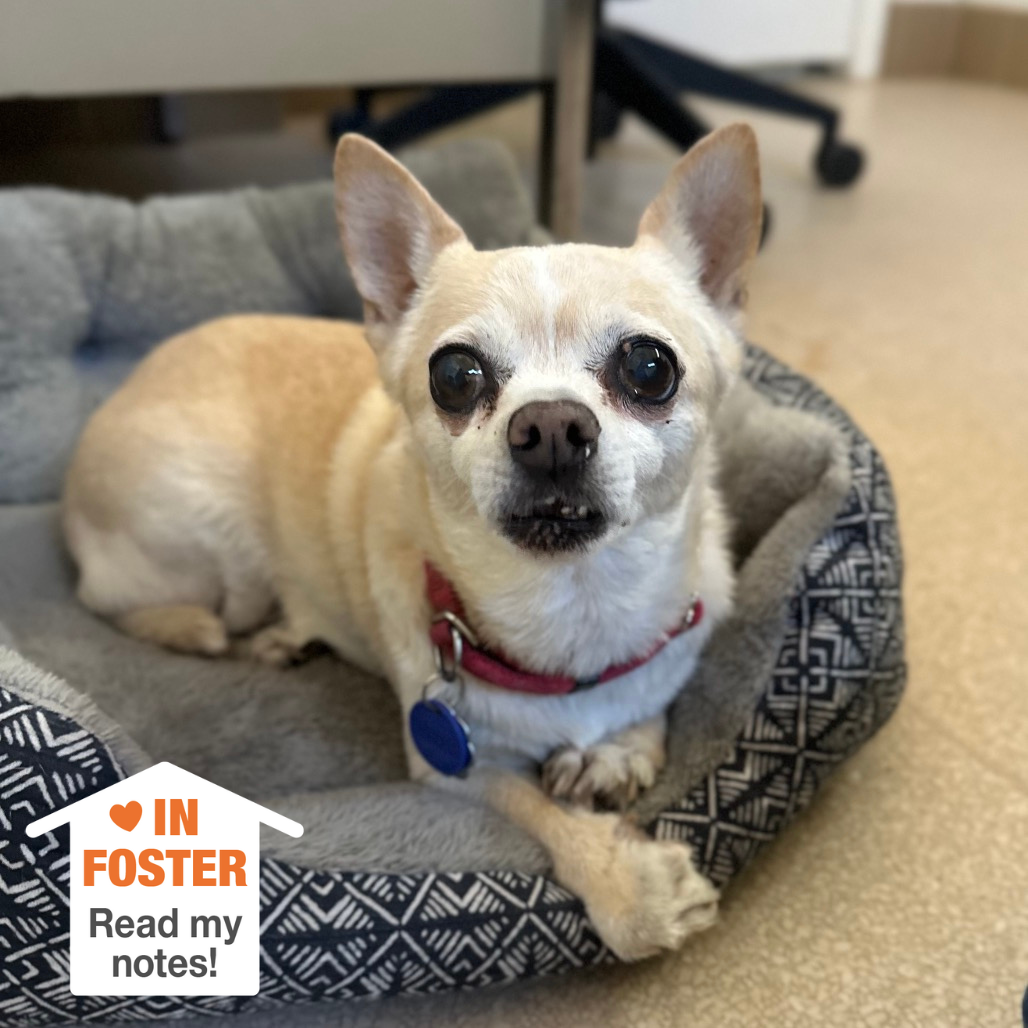 Hello my name is Happy