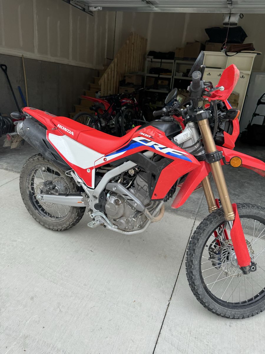 2024 crf 300l abs