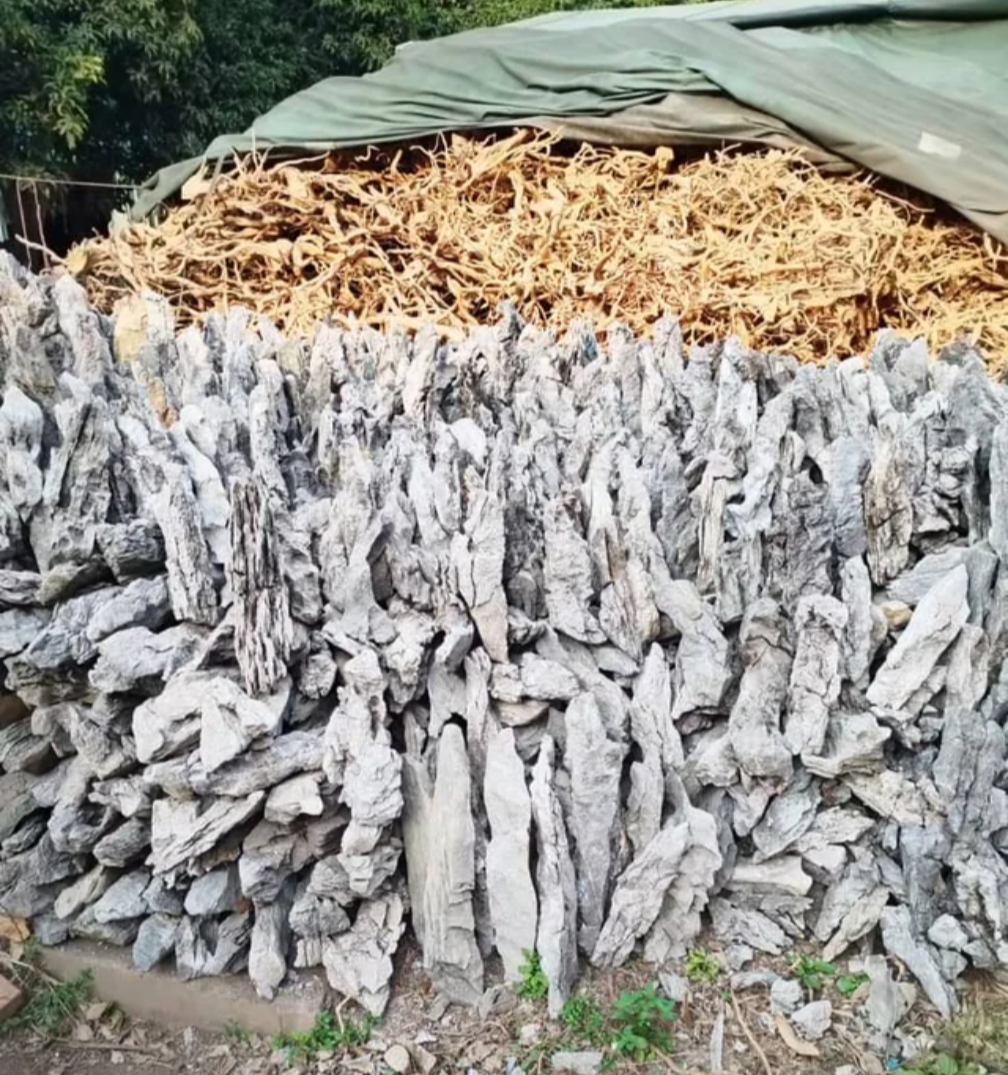 Hard Scape for Terrariums and Stuff