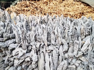 Hard Scape for Terrariums and Stuff