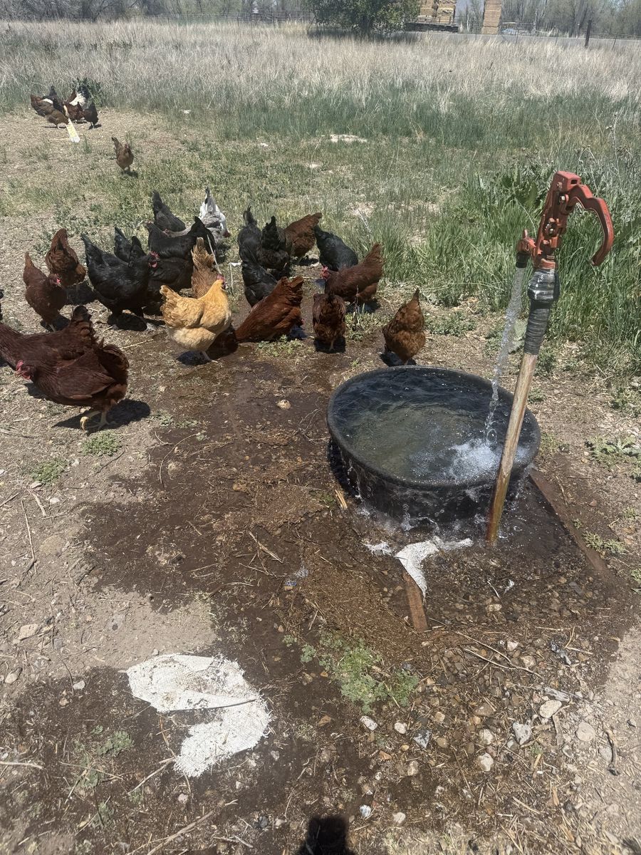 Main image 3