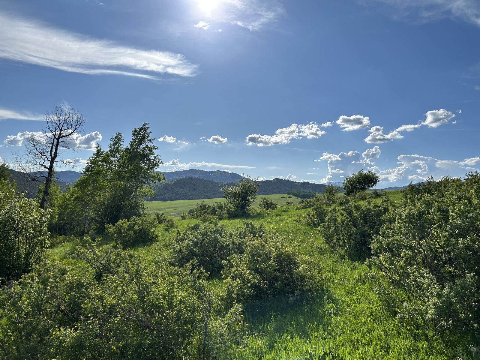 Beautiful Freedom Idaho 20 acre Mountain View Property - Land for Sale in Serene Landscape