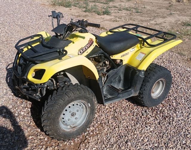 2002 SUZUKI OZARK 250