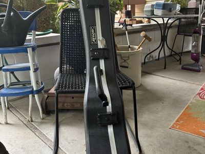 Taylor GS mini travel case