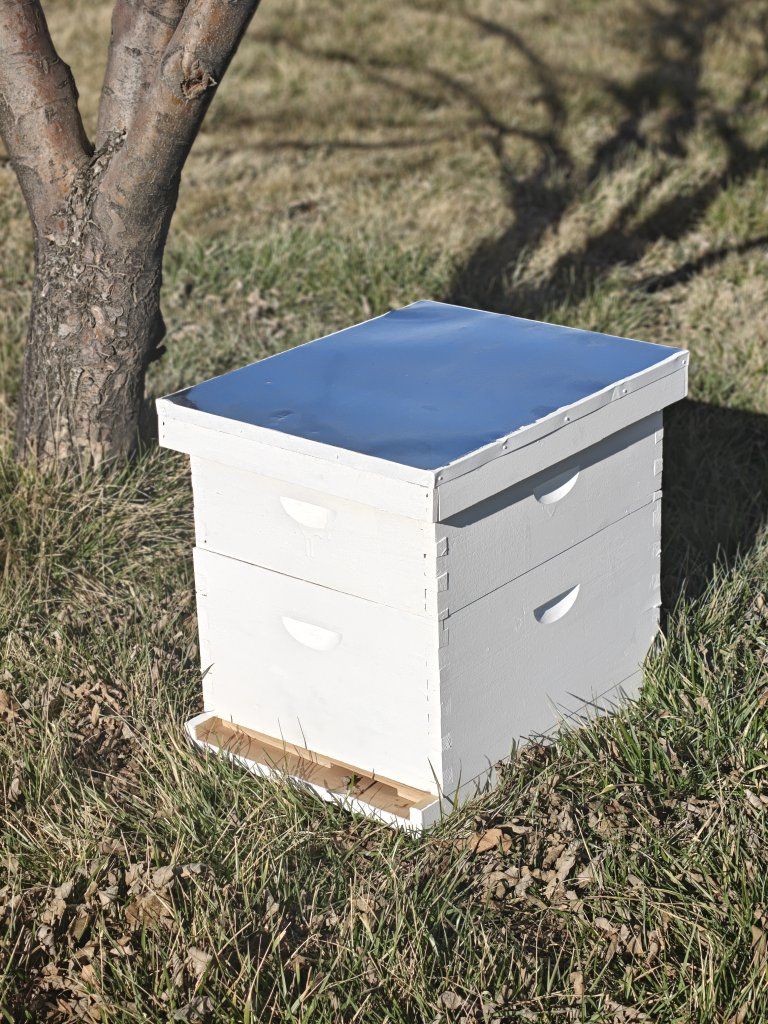 New Painted 10-Frame Langstroth Beehive