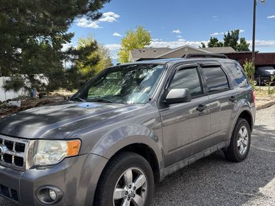 2011 Ford Escape XLT