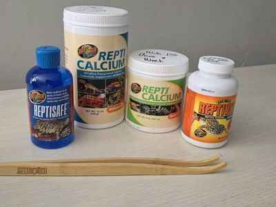 Reptile calcium and vitamin supplements