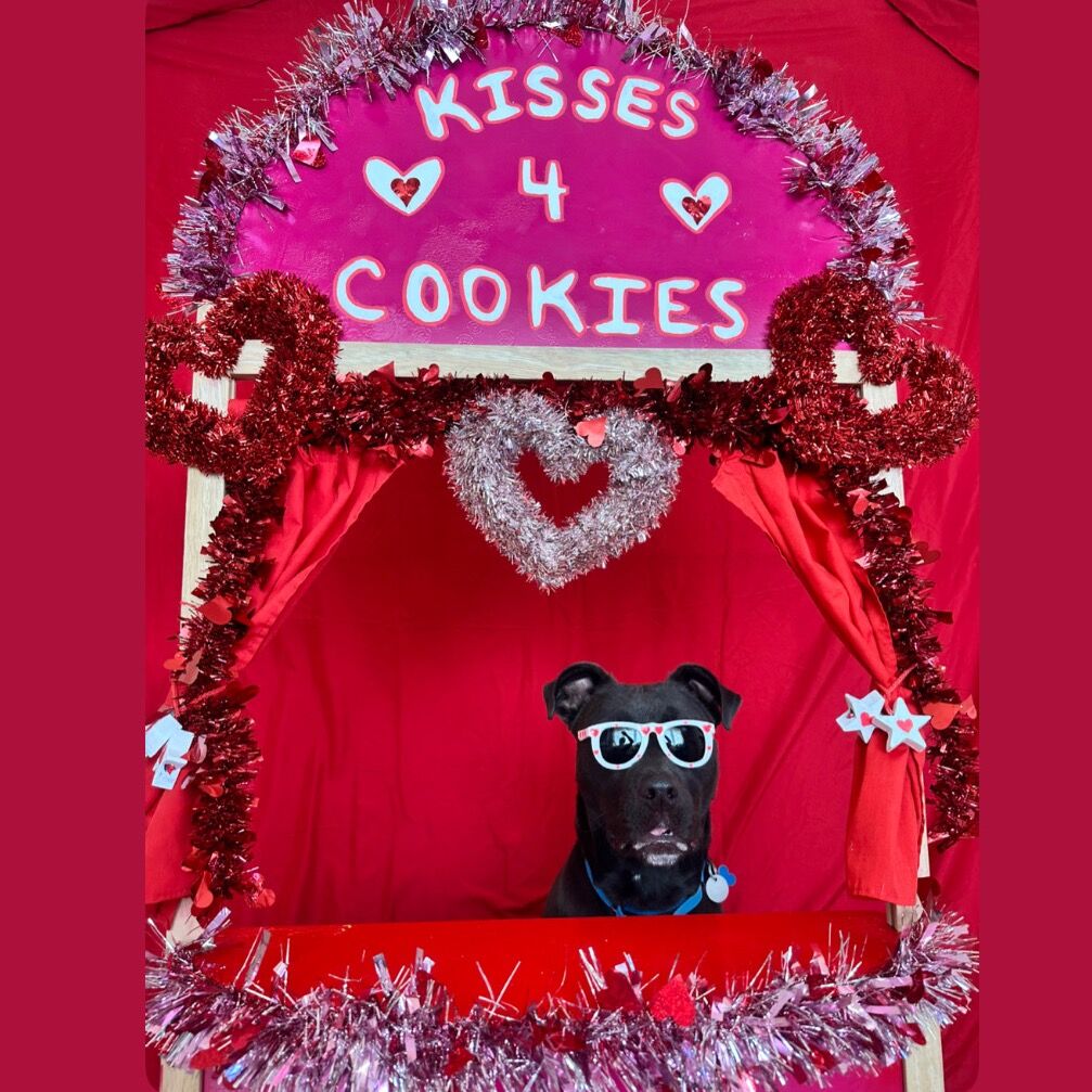 Hello my name is Hemi