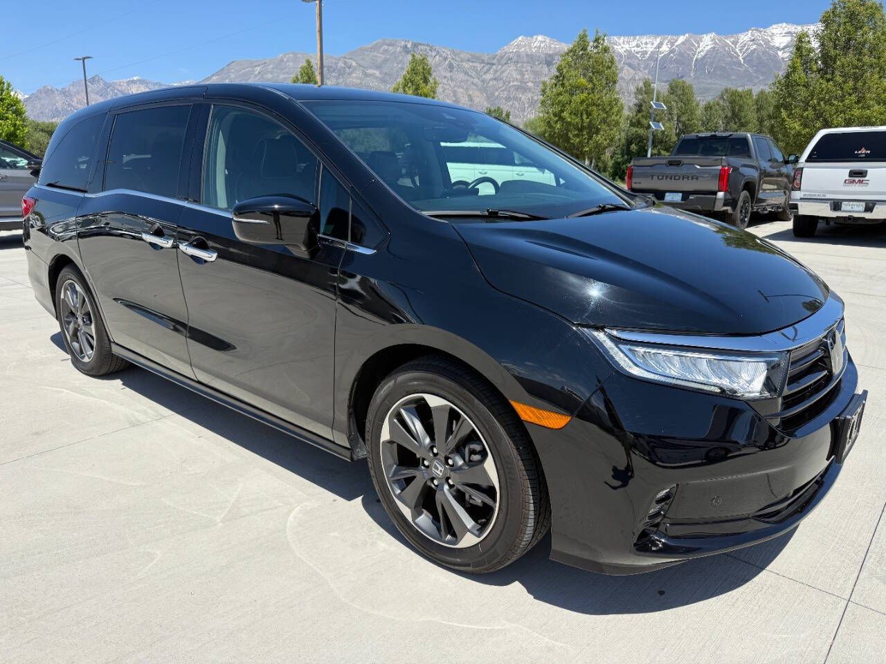 2024 Honda Odyssey Elite