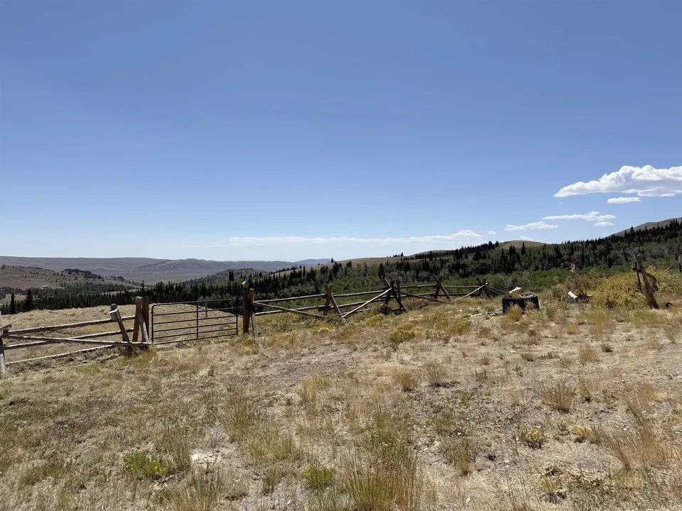 Main image 35