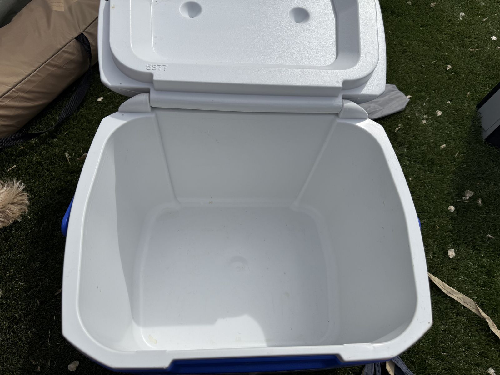Main image 4