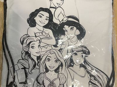 Disney Princess Bag (new)